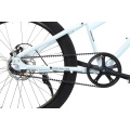 20 Inch Nexus 3sp Belt Disc Student Bike